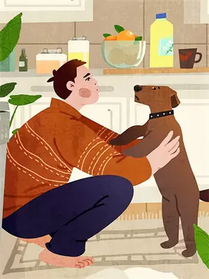 小狗不听话怎么训练
