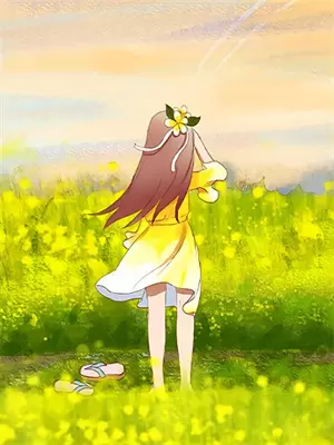 芦花未尽