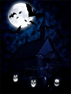 新人怎么开始直播