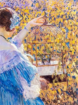 繁花已落尽是什么歌